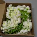 32Pcs Ranunculus Artificial Flowers, Ivory White Fake Peonies, Real Touch Silk Faux Mini Ranunculus Filler Flowers Bulk for DIY Wedding Bouquet, Vase Centerpieces, Bridal Shower Decor