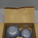 Hot Tubs Replacement Cartridges Compatible with Frog @Ease Floating System SmartChlor Cartridges Ideal for hot Tubs Up to 600 Gallons 4 Pack