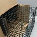 Humane Way Sentinel 32 Inch Live Animal Trap - No Assembly Required - Safe Medium Traps for All Animals - Raccoons, Cats, Groundhogs, Opossums - 32" L x 10.5" W x 12.5" H