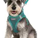 Eagloo Small Dog Harness and Leash Set, Step in Puppy Vest with Breathable Soft Mesh, Walking Reflective Pet Harness for Small Dogs, Forest Green, S