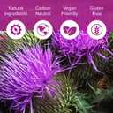 Natural Foundation Supplements Milk Thistle Supplement 240 Tablets Daily Liver Support 70mg 100:1 Extract 3rd Party Tested 80% Silymarin Made in The USA (240), Best Before March 2026