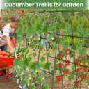 Cucumber Trellis, Metal Garden Arch Trellis for Raised Bed, 48 x 48inch U-Shape Garden Trellis for Climbing Plants Outdoor, Vegetables Fruit Plant Support with Netting, Gardening Supplies (Green)