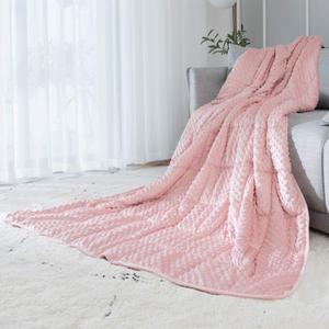ALANSMA Reversible Weighted Blanket for All Season, Luxury Velvet, Warm and Cool, Adult 10Lb Pink Weighted Blanket, Enjoy Sleeping Anywhere(Pink,48"x72" 10lbs)