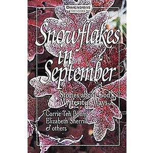 Snowflakes in September: Stories about God's Mysterious Ways, Book