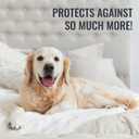 DMI Twin Waterproof Mattress Protector - Fitted, Noiseless Mattress Cover, Soft and Breathable, 39" x 75"x 8", White