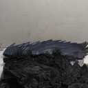 Morph Fallen Angel Costume Women With Black Wings Adult, Halloween Costumes For Women, Angel Costume For Woman (X-Large)