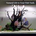 majoywoo Natural Large Driftwood for Aquarium Decor Reptile Decor, Fewer Branches 12.5-18" 2Pcs