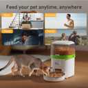 Automatic Cat Feeder - 2L Cat Food Dispenser, Timed Auto Pet Feeder with 180-day Battery Life, 1-6 Meals Per Day, 1-16 Portion, Desiccant Bag Keeps Dry Food Fresh, Also for Small Dogs
