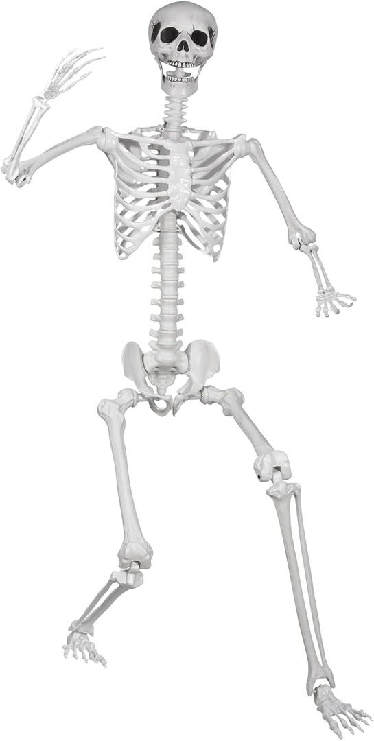 5.9ft/180cm Posable Halloween Skeleton, Life Size Skeleton Bones with Movable Joints for Halloween Graveyard Haunted House Spooky Scene Decor, 1pc
