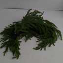 24 Inch Real Touch Christmas Wreath, Norfolk Pine Wreath Christmas Wreaths for Front Door, Artificial Winter Wreaths for Front Door, Outdoor Christmas Decorations Indoor for Home Decor