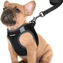 FAYOGOO Service Dog Vest for Small Breed - Lightweight Dog Harness with 6PCS Removable Patches - Puppy Harness and Leash Set for Walking,Training (XS, Black)