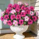 HyeFlora Artificial Flowers for Outdoors 4PCS Faux Petunias Silk Fake Flowers for Outside Planter UV Resistant Realistic Home Garden Porch Decor (Pink)