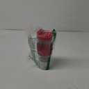 Plastic Insulated Double Wall Coffee and Tea Press (15oz (1 Count), Red)