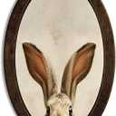 KDHTY Vintage Easter Bunny Oval Framed Wall Art Decor,Cottage Animal Rabbit Wall Art Canvas Frame Hanging,Retro Farmhouse Rustic Cottagecore for Home Bedroom Living Room Decoration,15.7x10.2