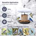 Pack of 2 - Metal Roof Bird Feeder for Backyard Birds, Bronze.