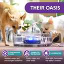 Brook Glass Pet Fountain (90oz/2.7L)  Cat Water Fountain & Small Dog Drinking Fountain  Automatic Water Dispenser Cat Fountain