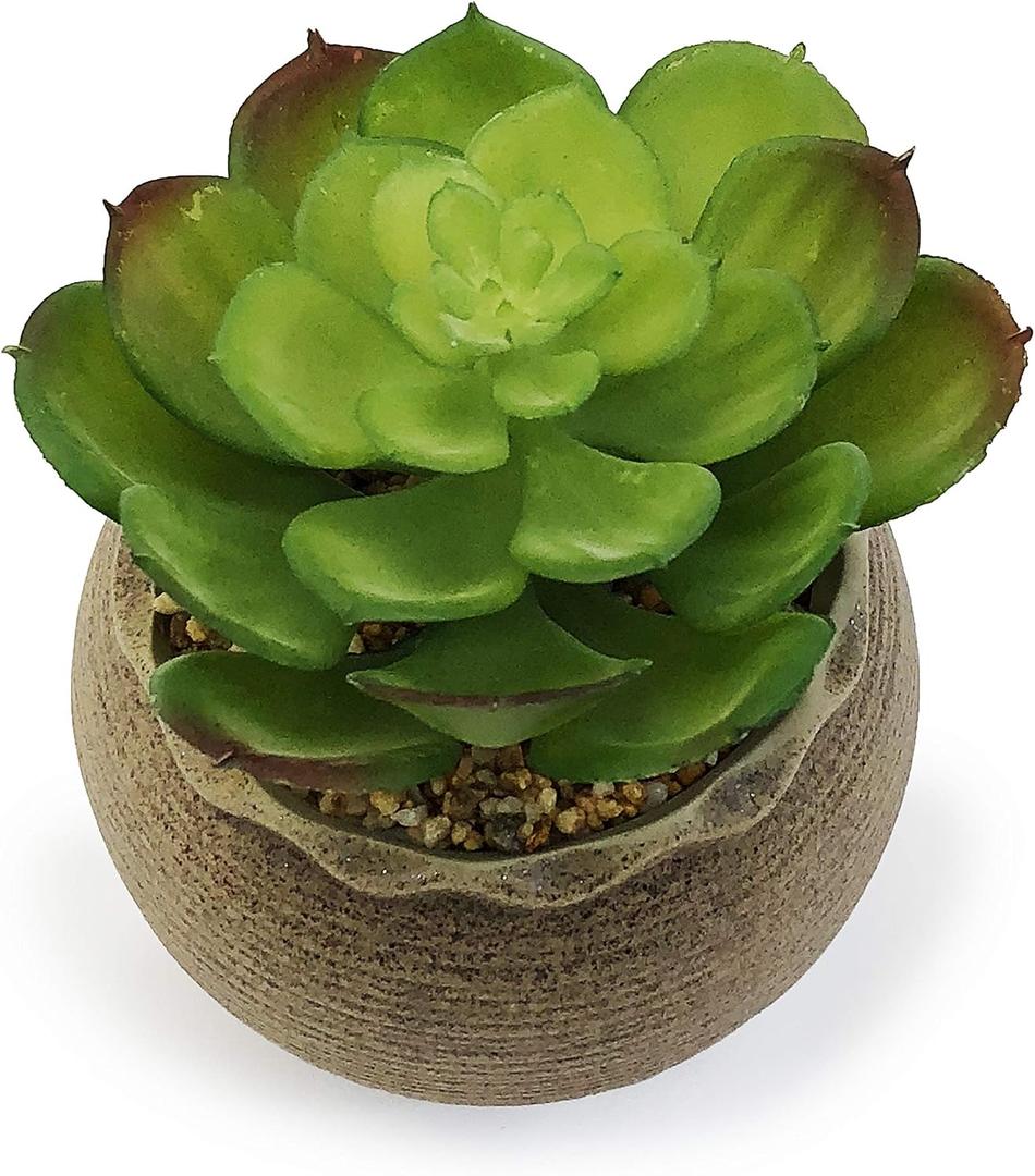 allgala Small Desktop Artificial Succulent Plant Indoor and Outdoor Indoor Fake Plants with Natural Clay Pot