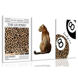 YUFEIART 3 Piece Funky Cheetah Canvas Wall Art Set of 3 12x16