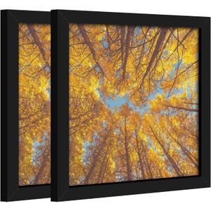 8x8 Picture Frame Set of 2,8x8 Picture Frame Black, Diploma Certificate Frame, Display Pictures Square Frame 