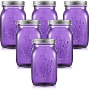 Tessco 6 Pcs 16 oz Colored Mason Jars with Lids Regular Mouth Glass Canning Jar for DIY Crafts Flower Decor, Storage, Canning, Pickling, Preserving, Fermenting (Purple)