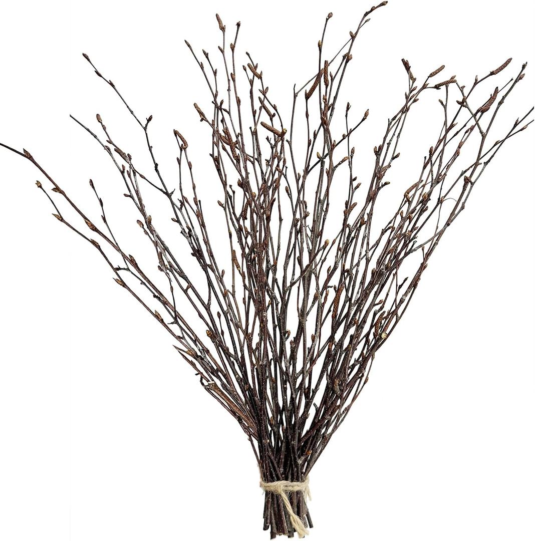 17 Inch Natural Birch Branches Dried Birch Twigs Wreath Making Supplies Dried Plants for Rustic Home Decor Easter Stems Vase Filler DIY Crafts Vases Tall Wreath Christmas Decoration Wedding (30Pcs)