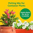 Potting Mix W/FERT 16QT