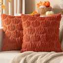 Woaboy Fall Decorative Pillow Covers 20x20 Inch, Rust, Set of 2 Pumpkin Halloween Thanksgiving Autumn Harvest Soft Faux Fur Pillows for Couch Porch Sofa Bedroom Living Room Home Decor