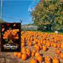 4 x Thanksgiving Garden Flag,Happy Thanksgiving Flags 12 x 18 Inch House Flag Double-Sided 2 Layer Turkey House Flag For Decoration