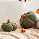 Halloween Pumpkin Pillows Set of 2, Dark Green Fall Throw Pillows, Cute Aesthetic Home Decor Pillows, Soft Fleece Sherpa Pumpkin Shaped Plush Cushion Sofa Couch Bedroom Autumn Thanksgiving
