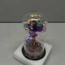 Dome Led Light,Galaxy Rose in Glass Dome Night Light, Gifts for Women Men Kids, Led Lights String On Flower, Crystal Rose for Valentine's Day, Mother's Day, Birthday, Purple