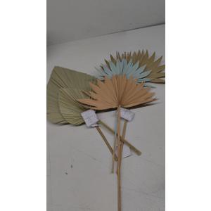 Spring Summer Declaration, 5 Pack