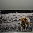 Animals Canvas Wall Art Decor Highland Cow Picture Longhorn Cattle Photograph Poster Prints Rustic Black White Artwork Country Style 24x36inches