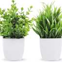 Der Rose 2 Pack Small Fake Plants Mini Artificial Potted Plants for Table Desk Home Bathroom Office Decor (Green)
