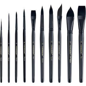 Transon 10pcs Natural Watercolor Paint Brush Set Professional for Watercolor Acrylic Ink Gouache Tempera (Black)