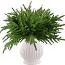 12 Pcs Norfolk Pine Stems Real Touch Norfolk Pine Branches Realistic Christmas Greenery Evergreen Stems for Decorating Christmas Indoor Home Decor