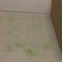 1.5 Sq. Ft. Preserved Moss Pole Decorative Moss for Crafts, Art, Wall Decor,Yellow Green Moss