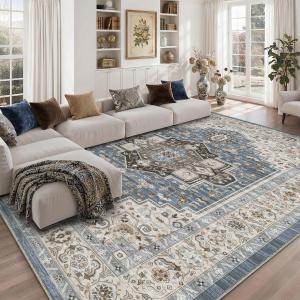 Rugs for Bedroom, Classroom, College Dorm, Farmhouse, Dining Room, Kids Playroom Blue 8x10