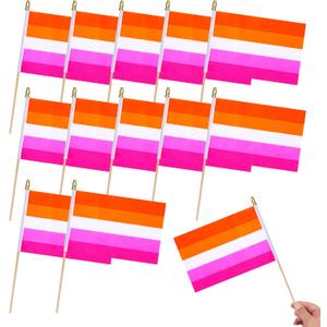 2 x 12Pcs Small Sunset Lesbian Pride Stick Flags on Wooden Stick Mini LGBT Gay Flag Hand Held Flag Decorations,5x8 Inch