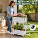 2-Tier 27.8"H Rolling Raised Garden Bed with Wheels, Self Watering Planter Box with Visible Water Level, Gray Rustproof Plastic Herb & Strawberry Planter for Indoor Outdoor Vegetables Flowers, DIY Kit