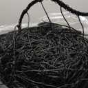 Windyun 1 Pc Bird Netting Bird Net Chicken Coop Mesh Heavy Duty Deer Fence Aviary Net Reusable Fruit Tree Poultry Barrier for Garden Protection Vineyard Against Hawk Squirrel, Black