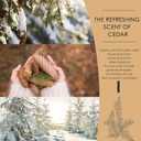 Christmas Grandpa Gifts, 10OZ Funny Papa Grandfather Grandpa Birthday Gifts from Grandkids Granddaughter Grandchildren, Best New Grandpa Ever Gift Ideas, Papa's Last Nerve Scented Soy Candle