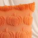 2 x Artscope Fall Pillow Covers 18 x 18 Set of 2 Decorative Autumn Harvest Holiday Pumpkin Throw Pillow Cases Soft Plush Faux Fur Couch Cushion Case for Farmhouse Halloween Sofa Bed Room Home Decor-Orange