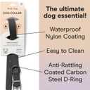 Wild One Dog Collar, Easy-Clean, All Weather Flex-Poly Strap with Metal, Durable, Dirt and Odor Resistant (Black, M)