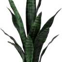 Beebel Artificial Snake Plant 22 Inch Fake Sansevieria Fake Agave Potted Plants Plastic Greenery for Home Garden Office Store Decoration 12 Leaves (Green)