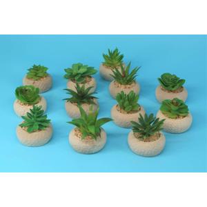 Set Of 12 Succulents Plants Artificial in Pots Small Fake Plants for Bedroom Aesthetic Living Room Office Shelf Bathroom Decor