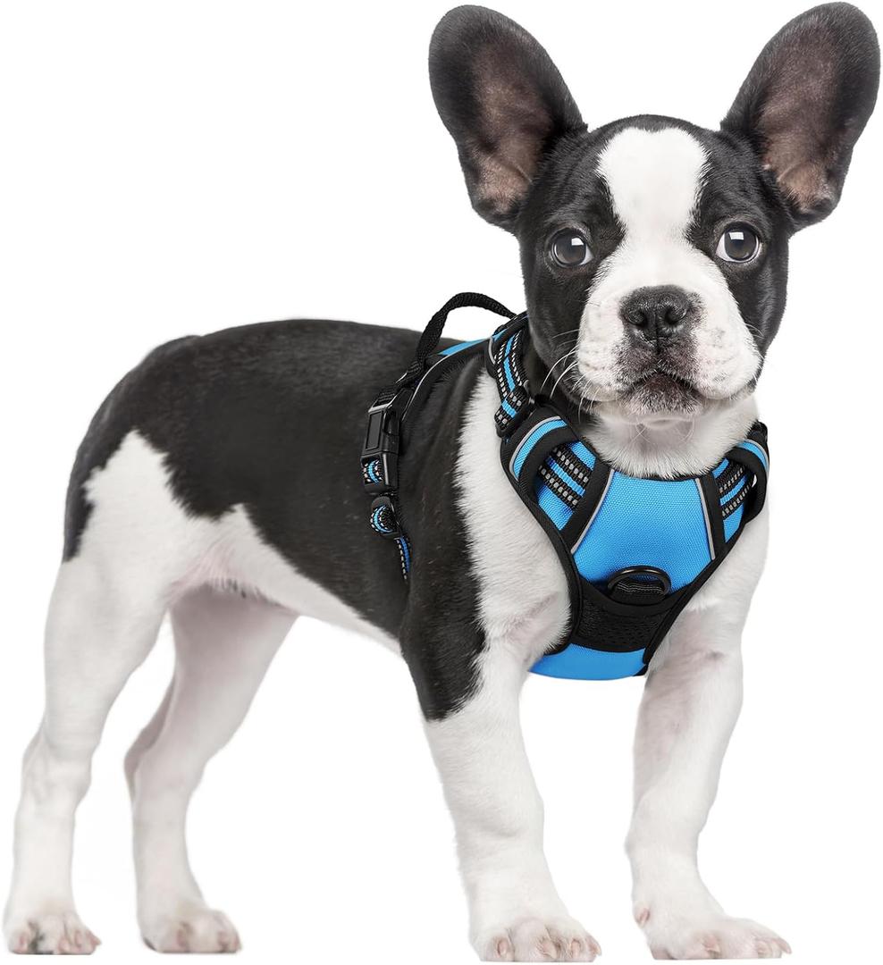 rabbitgoo Dog Harness No Pull with 2 Leash Clips, Adjustable Soft Padded, Reflective Oxford No Choke Pet Vest with Easy Control Handle for Small Dogs (Blue, Small)