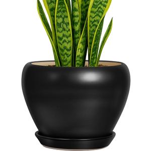 Deep Dream 8 Inch Plant Pot - Ceramic Pots for Plants with Drainage Hole and Trays, Modern Round Flower Pot, Planters for Indoor Outdoor Plants, Home Garden Decor, Black