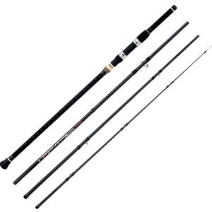BERRYPRO Surf Spinning Fishing Rod Graphite Spinning Rod, 12'-Spinning-4pc