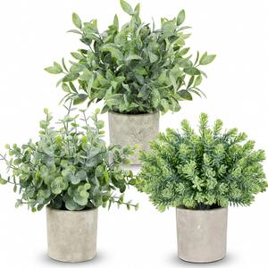 CCILAND 3 Pack Small Potted Fake Plants, Artificial Eucalyptus Plants, Lifelike Faux Frost-Hung Plants Topiaries for Home Office Shelf Desk Living Room Greenery Decor