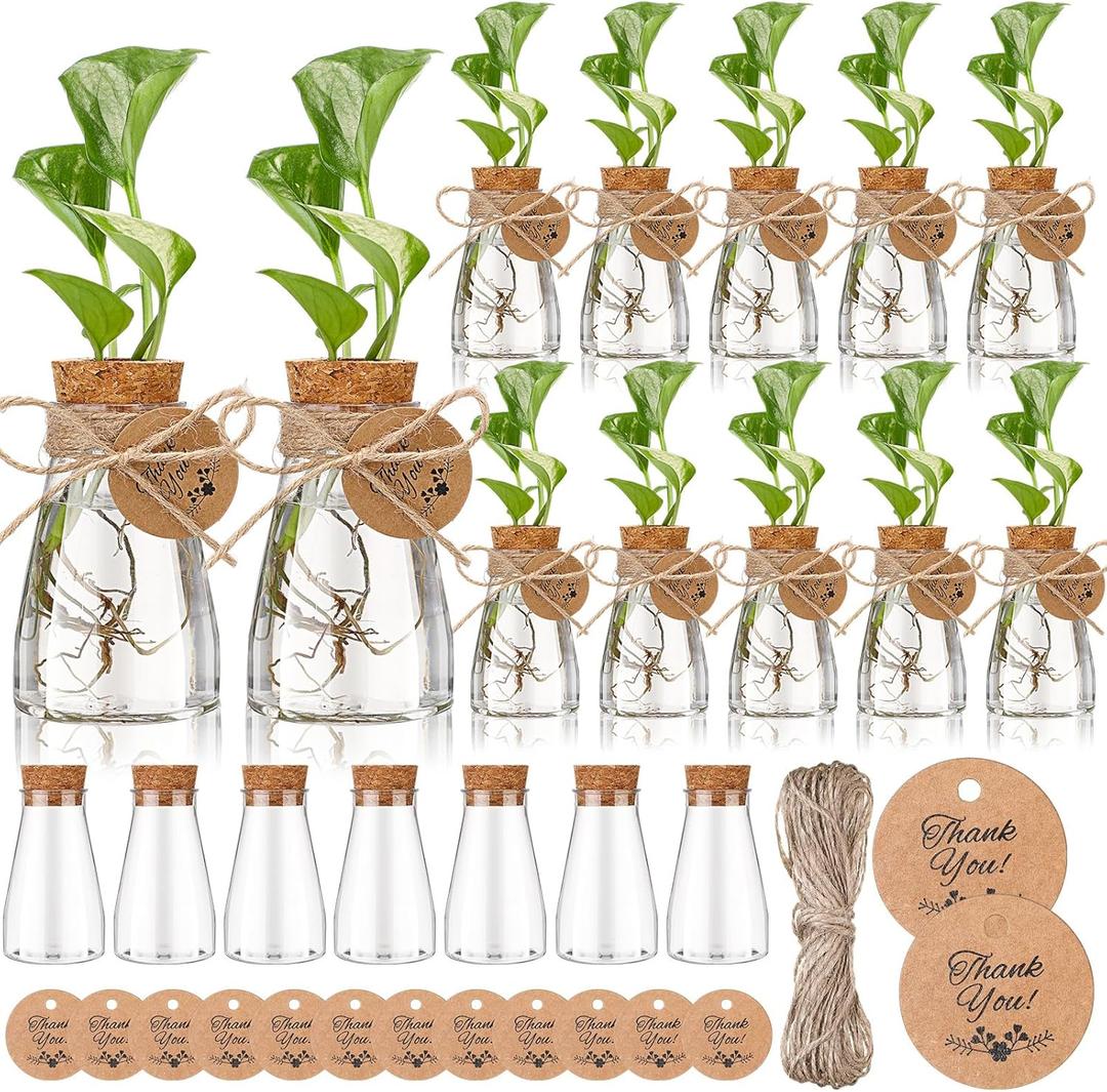 Baderke 24 Pack 3.35'' Plastic Plant Propagation Stations with Hole Lid Planter Vase Clear Propagation Jars with Thank You Tags for Plant Lover Gifts for Women Office Home Garden